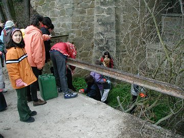 Stadtreinigungstag M�rz 2001